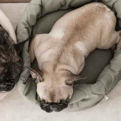 TAART Reversible Pet Bed, Fern