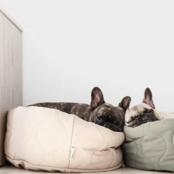 TAART Reversible Pet Bed, Fern