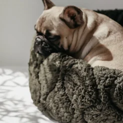 TAART Reversible Pet Bed, Plum