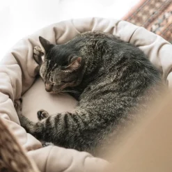 TAART Reversible Pet Bed, Fern