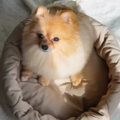 TAART Reversible Pet Bed, Plum