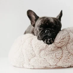 TAART Reversible Pet Bed, Fern