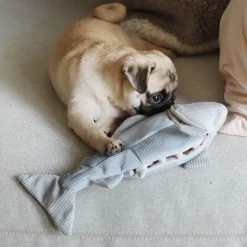 TROUT Enrichment Dog Toy