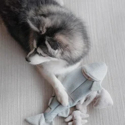 TROUT Enrichment Dog Toy