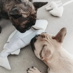 TROUT Enrichment Dog Toy