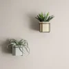 Wall Mounted Pot Holder