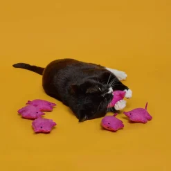 Wool Pig Cat Toy
